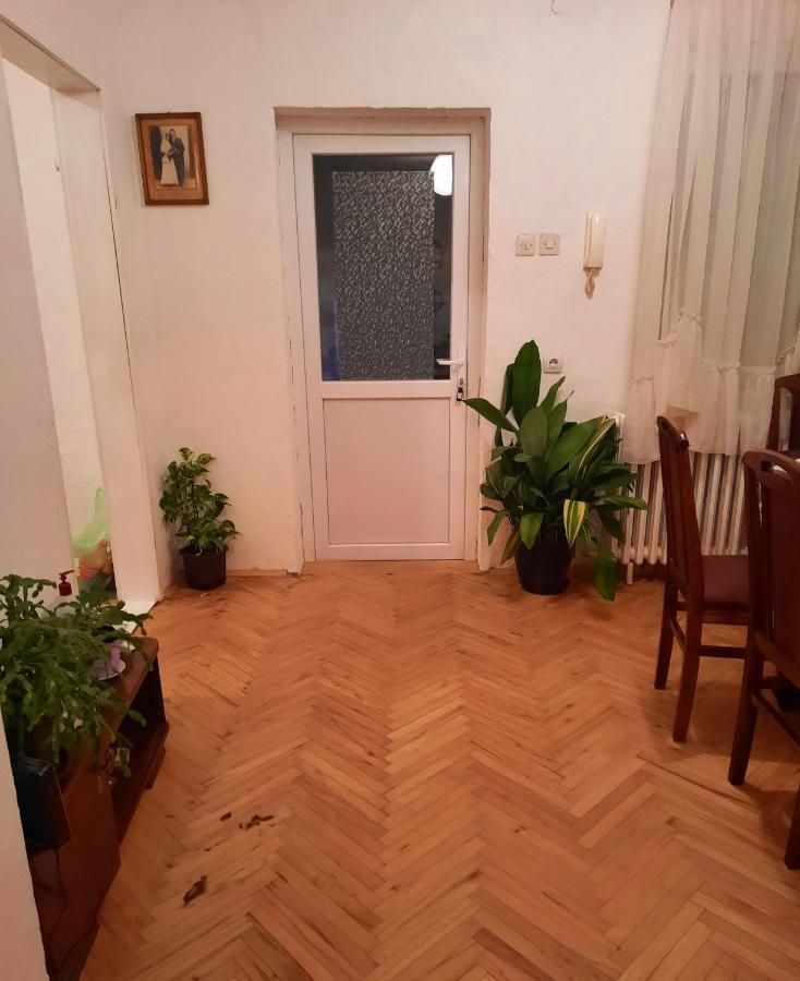 Villa Sunshine House Pančevo Exterior foto